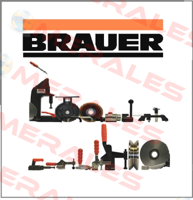 Brauer