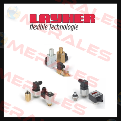 Layher