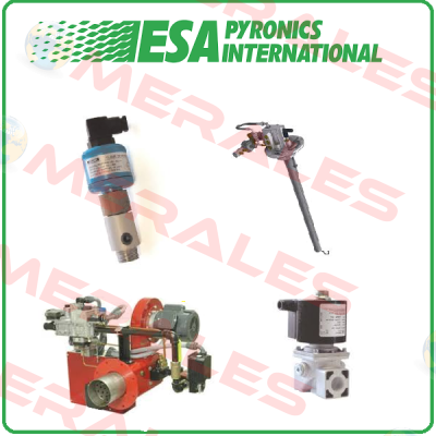 ESA Pyronics International