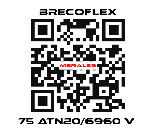 75 ATN20/6960 V  Brecoflex