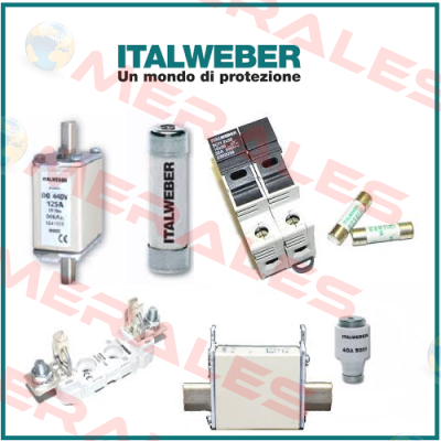 0900507  Italweber