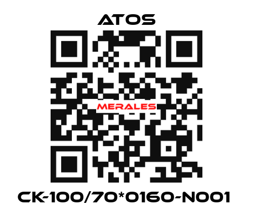 CK-100/70*0160-N001  Atos
