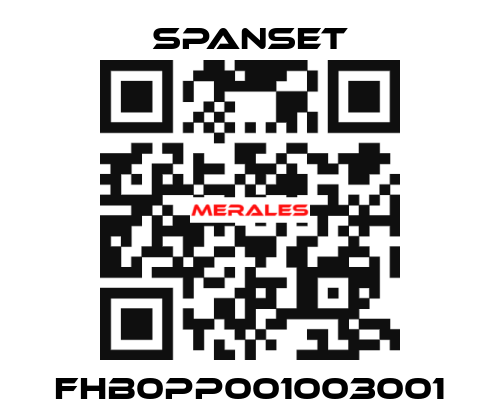 FHB0PP001003001 SpanSet
