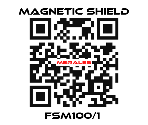 FSM100/1  Magnetic Shield