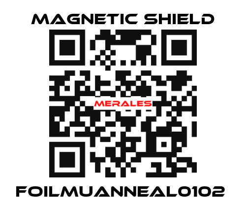 FOILMUANNEAL0102  Magnetic Shield