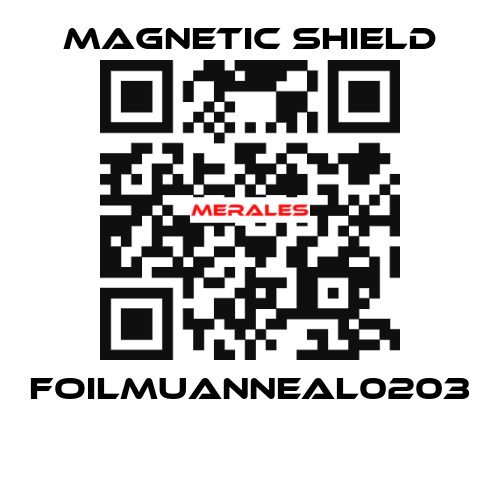 FOILMUANNEAL0203  Magnetic Shield