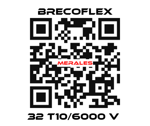 32 T10/6000 V  Brecoflex