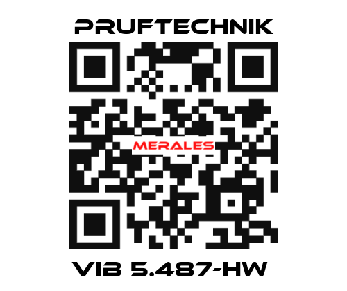 VIB 5.487-HW  Pruftechnik