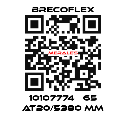 10107774   65 AT20/5380 mm Brecoflex