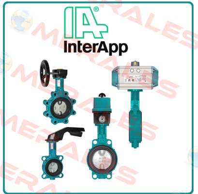 A324EC DN150 PN16  InterApp