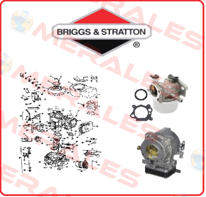691963-BRI  Briggs-Stratton
