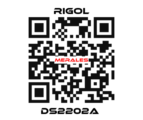 DS2202A  Rigol