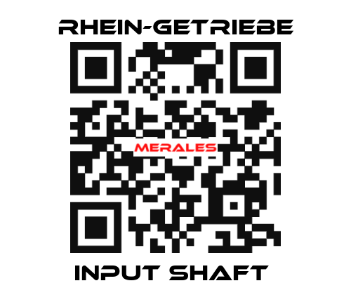 INPUT SHAFT  Rhein-Getriebe
