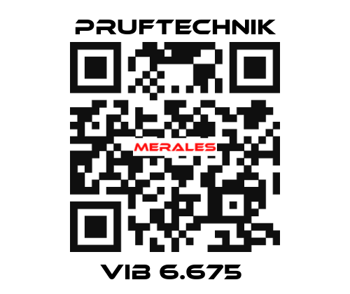 VIB 6.675  Pruftechnik