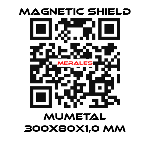 MuMETAL 300x80x1,0 mm Magnetic Shield