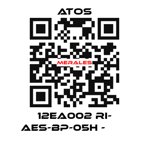 12EA002 RI- AES-BP-05H - ОЕМ Atos