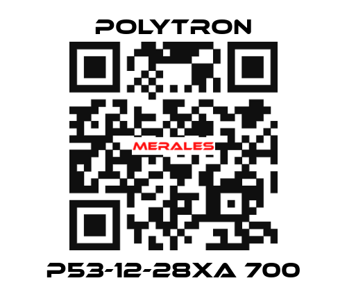 P53-12-28XA 700 Polytron