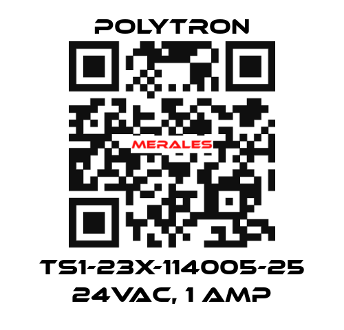 TS1-23X-114005-25 24VAC, 1 Amp Polytron