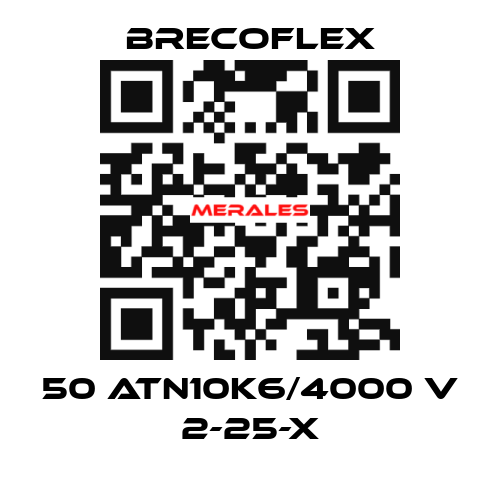 50 ATN10K6/4000 V 2-25-X Brecoflex