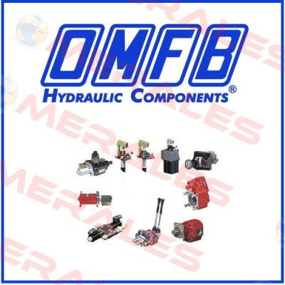 01006100176 OMFB Hydraulic