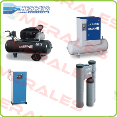 Filter for CSB 25/10 CECCATO ARIA COMPRESSA