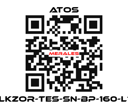 DLKZOR-TES-SN-BP-160-L71 Atos