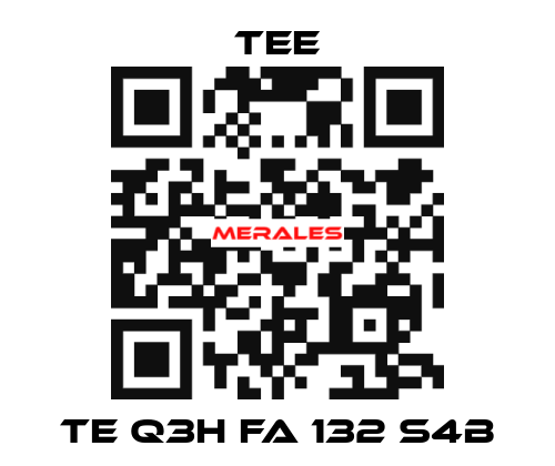 TE Q3H FA 132 S4B TEE