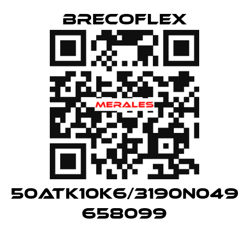 50ATK10K6/3190N049 658099 Brecoflex