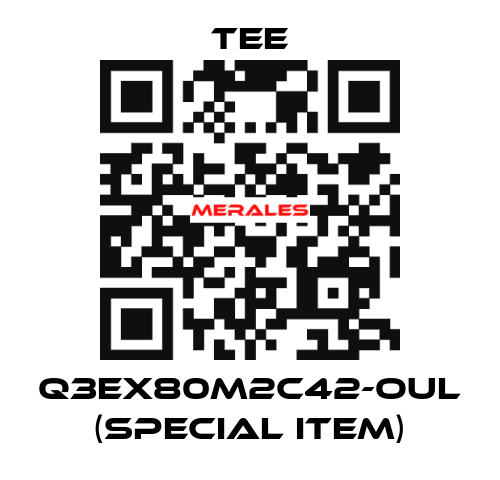 Q3EX80M2C42-OUL (special item) TEE
