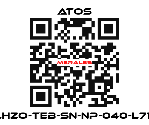 DLHZO-TEB-SN-NP-040-L71/B Atos