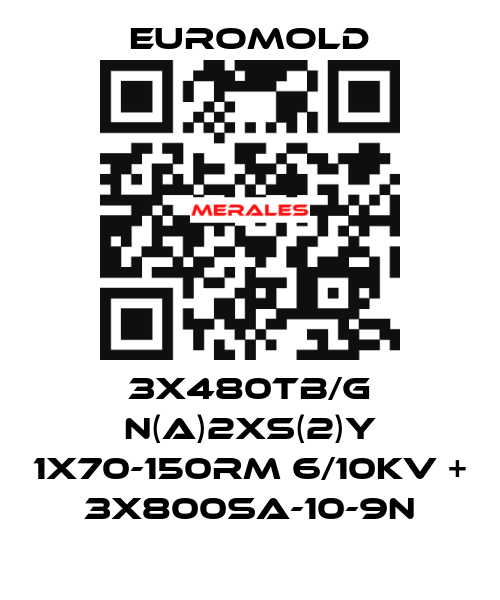 3x480TB/G N(A)2XS(2)Y 1X70-150RM 6/10KV + 3x800SA-10-9N EUROMOLD