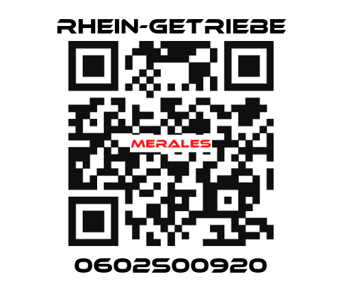 0602S00920 Rhein-Getriebe