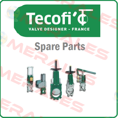 VG4400-03NI0200 Tecofi