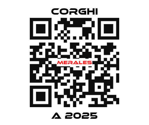 A 2025 Corghi