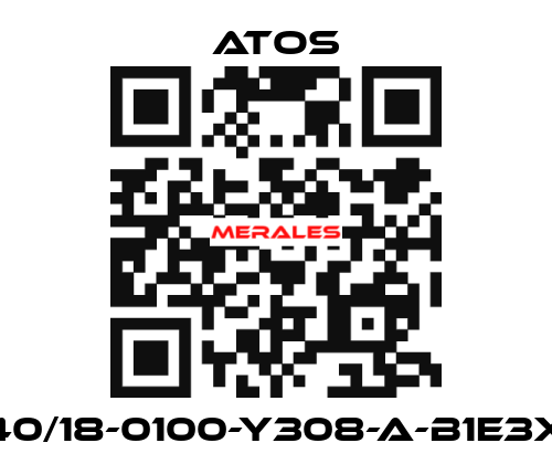 CK-40/18-0100-Y308-A-B1E3X1Z3 Atos