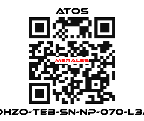 DHZO-TEB-SN-NP-070-L3/I Atos