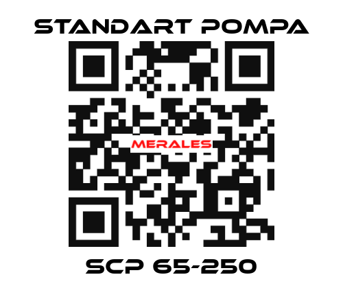 SCP 65-250 STANDART POMPA