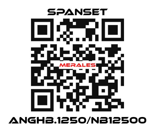 ANGHB.1250/NB12500 SpanSet