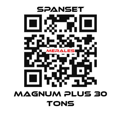 magnum plus 30 tons SpanSet