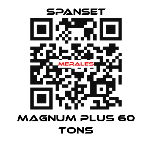 magnum plus 60 tons SpanSet