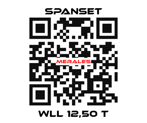 WLL 12,50 t SpanSet