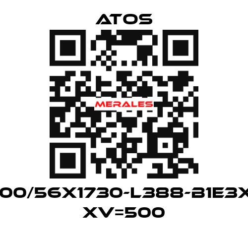 CK-100/56X1730-L388-B1E3X1Z3 XV=500 Atos