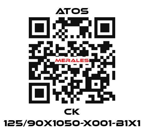 CK 125/90X1050-X001-B1X1 Atos