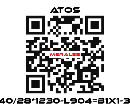 CK-40/28*1230-L904=B1X1-33-X Atos