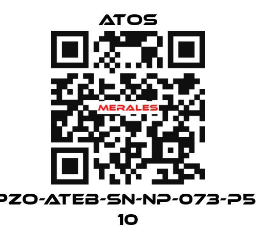 DPZO-ATEB-SN-NP-073-P5/B 10 Atos