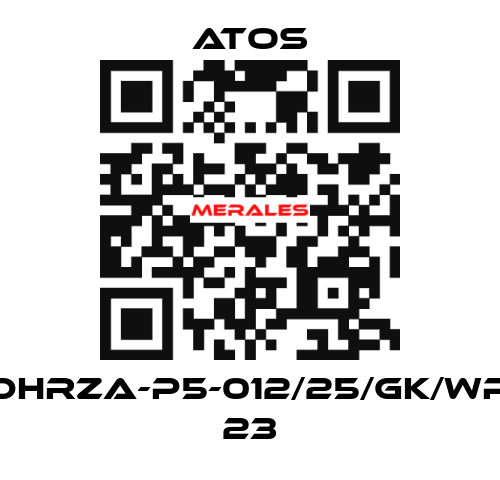 DHRZA-P5-012/25/GK/WP 23 Atos