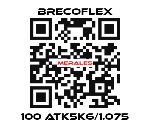 100 ATK5K6/1.075 Brecoflex
