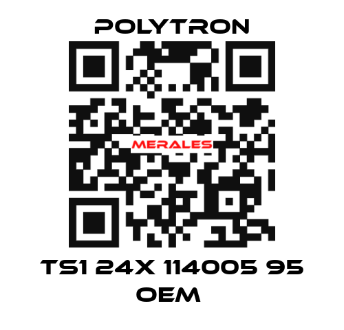 TS1 24X 114005 95 oem  Polytron
