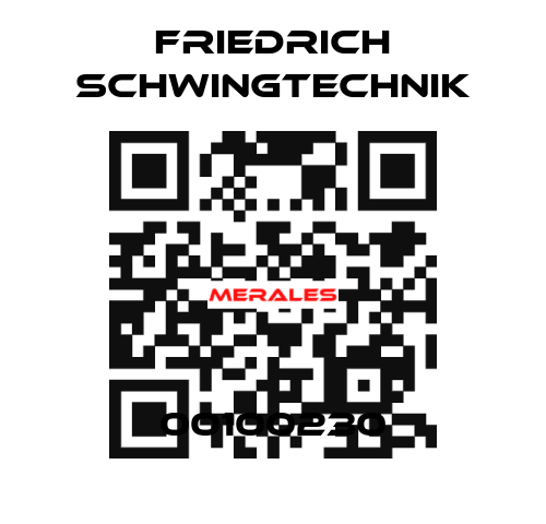 00100230 Friedrich Schwingtechnik