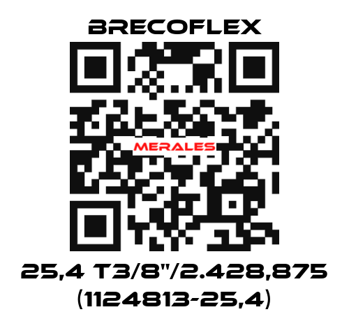 25,4 T3/8"/2.428,875 (1124813-25,4) Brecoflex